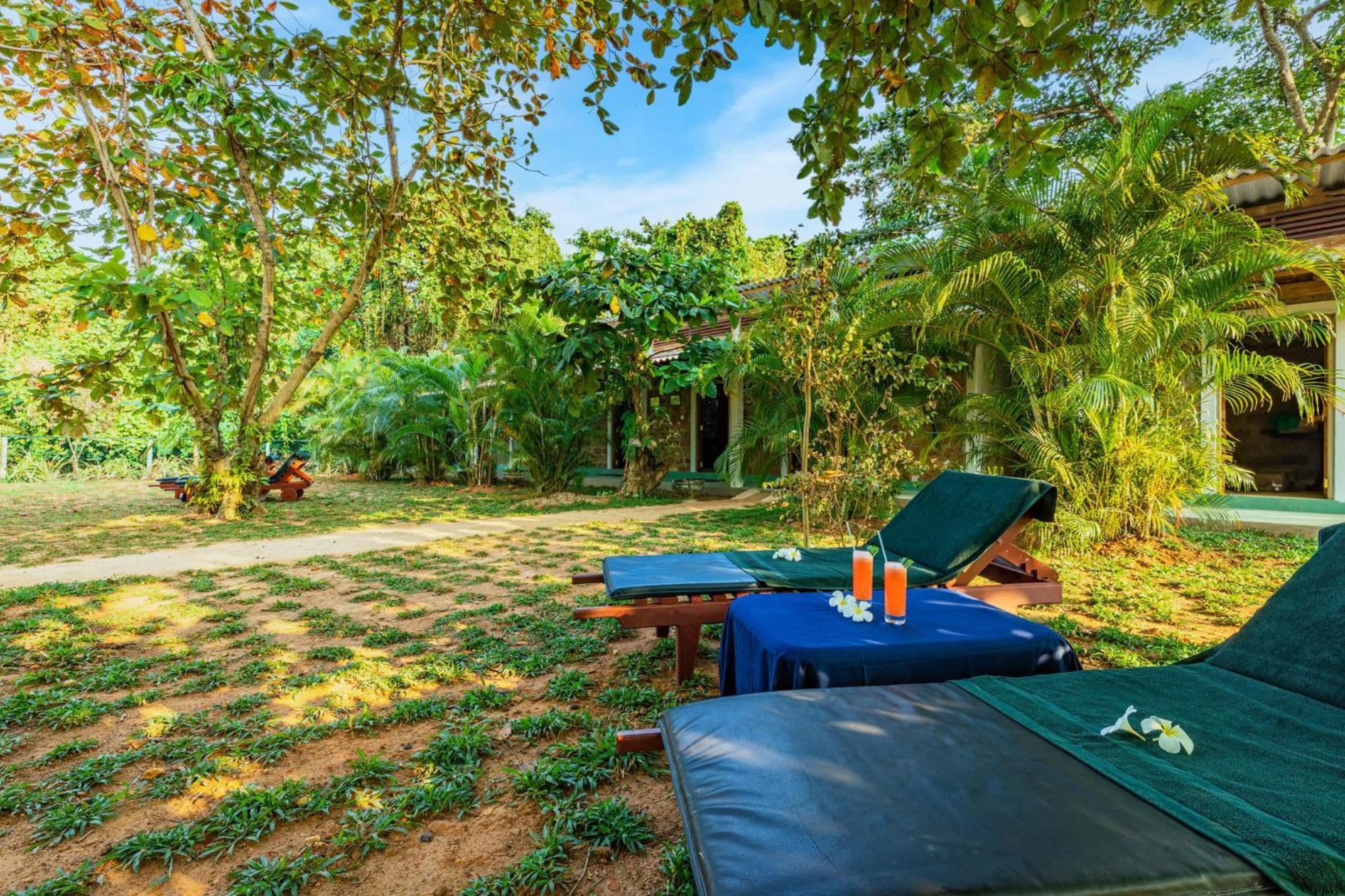 Sath Villa Naadi Ayurveda Resort Moragalla 외부 사진